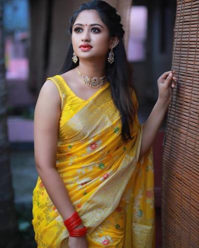 LC 74 BY SF DESIGNER BANARSI KHADI GEORGETTE SILK SAREE WHOLESALER IN INDIA